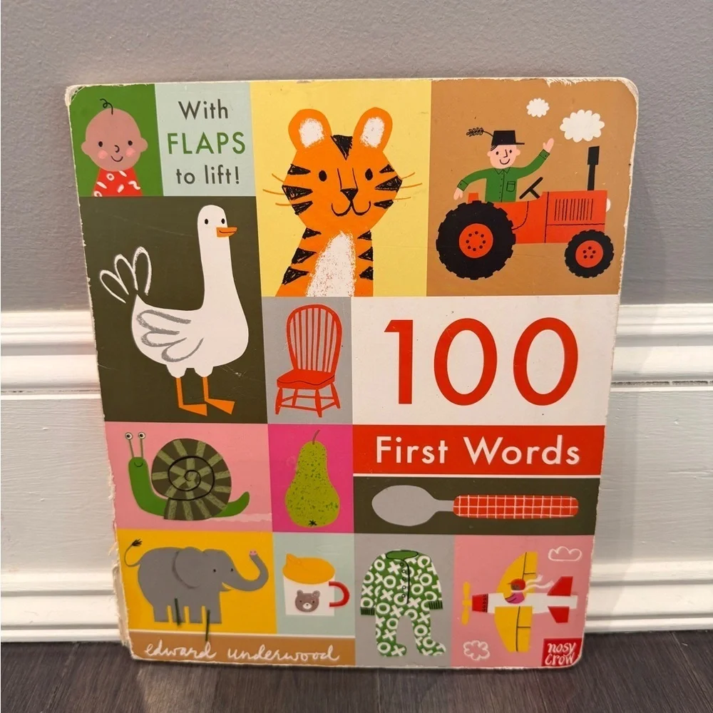 100 First Words Lift-the-Flap Book - Multicolor Baby Toddler Kids